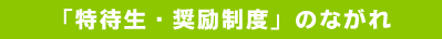 特待生・奨励制度のながれ